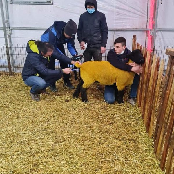 Ultrason İle Gebelik Muayenesi