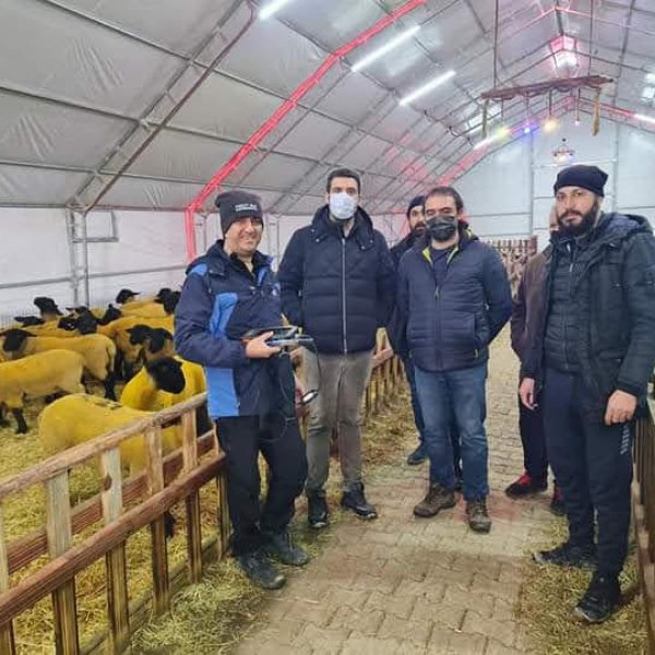 Yem Katkı Maddeleri